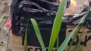 сжёг телевизор из картона !!!