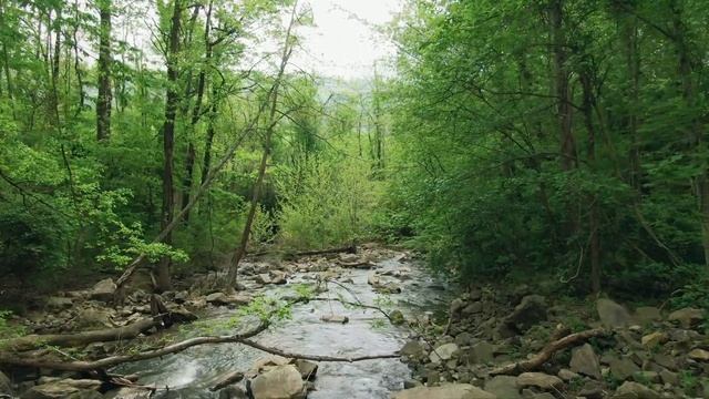 Это подборка звуковых эффектов для очищения от негатива! Баланс ГЦ смотреть онлайн
