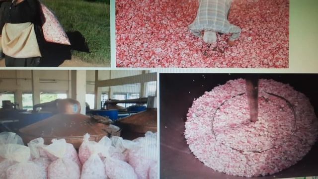 Сырье для парфюмерии. Живодан. И.Арбузова эксклюзивно для Мэри Кэй смотреть онлайн