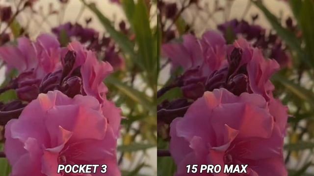 Dji Osmo pocket 3 vs iphone 15 pro Max Night mode camera test смотреть онлайн