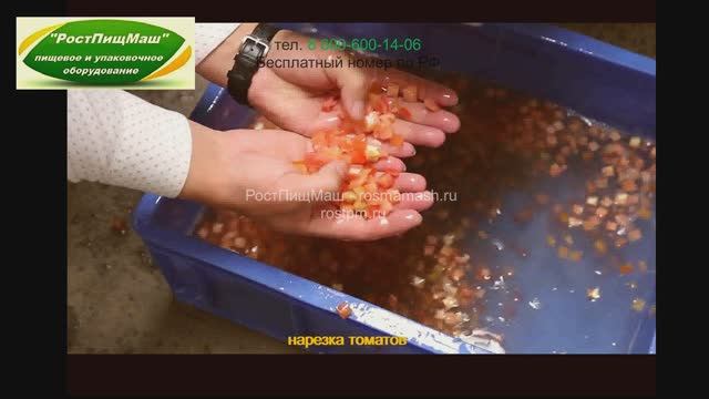 Машина для резки кубиком овощей DY-800 смотреть онлайн