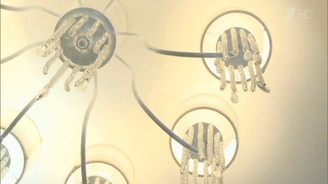 Фазенда 13.01.2019 на remont-online.net смотреть онлайн