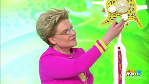 Что делать, если вас укусили? Жить здорово! Фрагмент выпуска от 29.11.2017