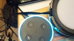 Связывается ли голосовой помощник Alexa от Amazon с ЦРУ?