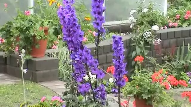 Ландшафтный дизайн и природное земледелие