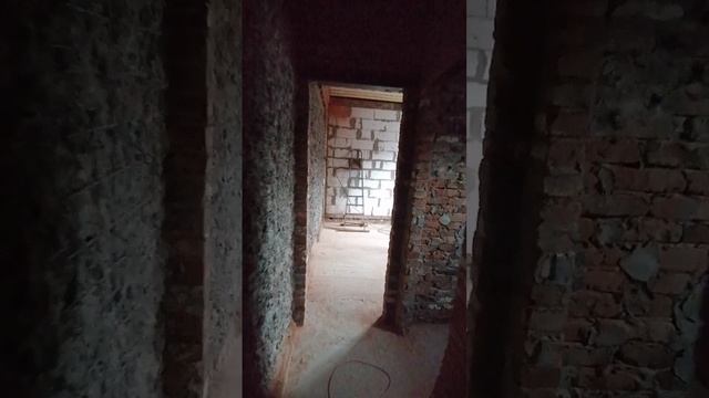 document_5445002810217210684