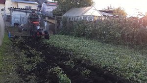 Мотоблок Агат Серега пашет САМ!!!!