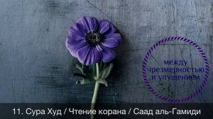 11. Сура Худ / Чтение корана / Саад аль-Гамиди