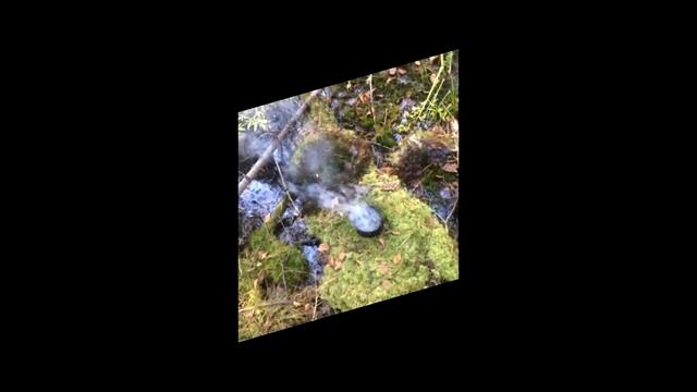 2018  Маленькая прогулка по Пихтовке и Тайге