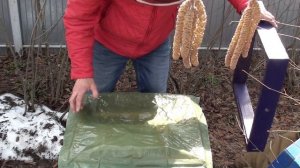 Стимулирующая подкормка пчел весной и первая обработка от клеща. Пчеловодство для начинающих.