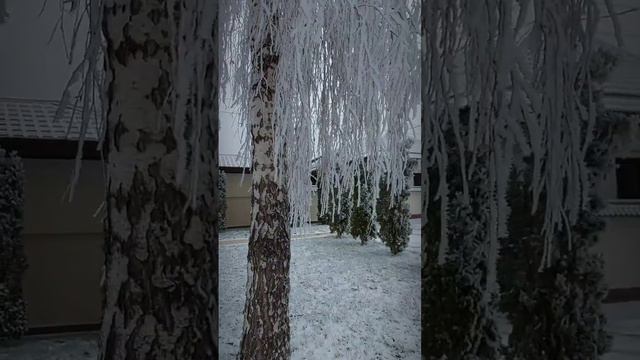 ЗИМНЯЯ красота ПЯТИГОРСКА. / WINTER beauty of PYATIGORSK.