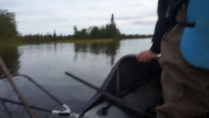 Рыбалка на Канозере. 2я часть Кольский полуостров Август 2016