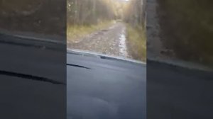 поселок кытлым четверть горы канжаковский камень