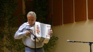 Скрипач на гармони(Роговка).