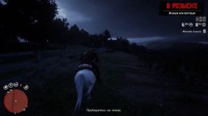 Red Dead Redemption 2 онлайн Ограбление века😁🔥