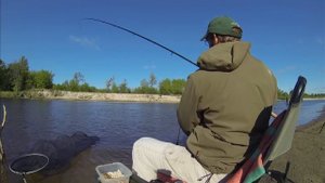 Язь на Фидер.