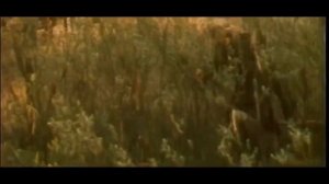 Поединок в тайге 1977 Засада красных партизан на колонну белых