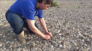 Стоянка чукчей. Олени. Рыбалка. Чукотка 2017. Часть 8.