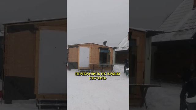 Бесплатный снег❄️ #киржач #помощьнаркоманам #реабилитация #зависимость #помощьалкоголикам