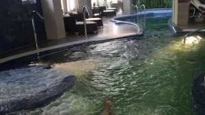 Екатерина Стриженова худеет в Казани