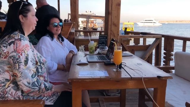 Акулы в Хургаде. Египет 2022 смотреть онлайн