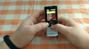 Обзор балалайки samsung SGH-D780