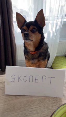 Эксперты советуют