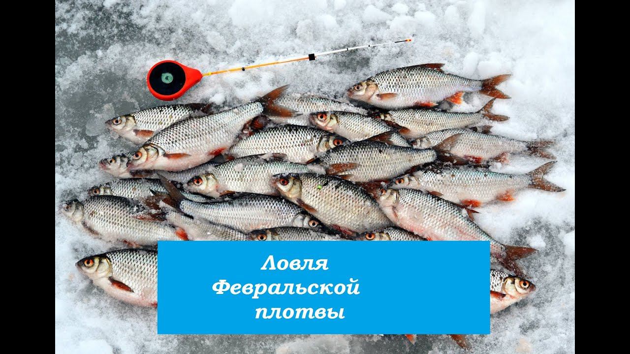 ЗИМНЯЯ РЫБАЛКА-2020.ЛОВЛЯ ПЛОТВЫ В СИБИРИ. смотреть онлайн
