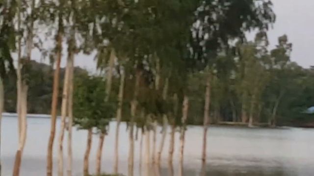 Flood in saidpur.bangladesh смотреть онлайн