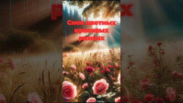 Доброй ночи! Сладких снов! #спокойнойночи #хорошеговечера #хорошегонастроения #добройночи