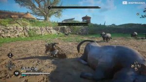 All 11 Legendary Animal Locations And Rewards - Assassin's Creed Valhalla Legendary Animals