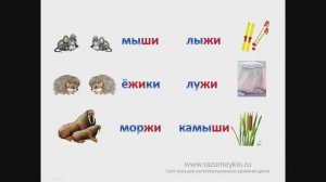 Правописание жи-ши — Сайт-игра Разумейкин