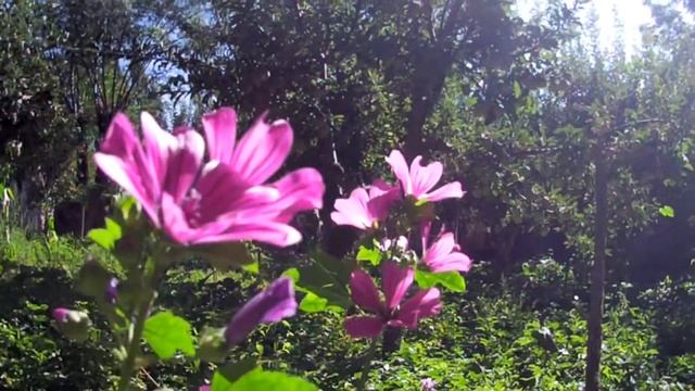 Tajikistan - Country in Asia / Рогунский район-Таджикистан природа смотреть онлайн