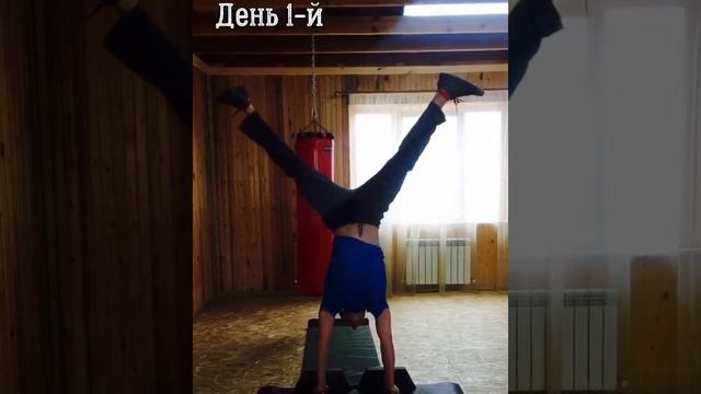 Стойка на руках (паралетсы) Handstand