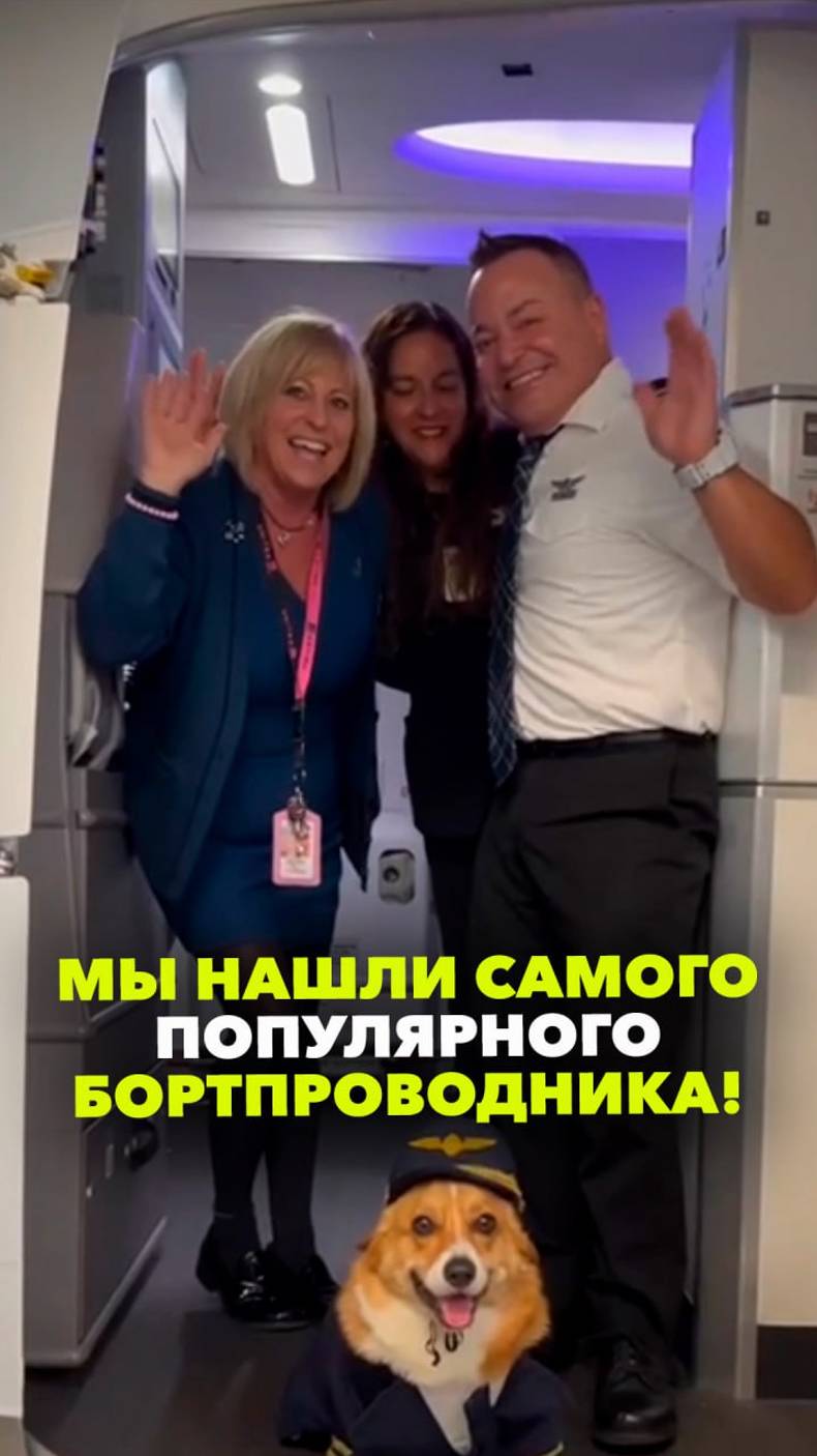 Самый популярный бортпроводник