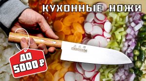 Бюджетные кухонные ножи до 5000Р