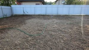 Газон суглинках с нуля. Своими руками