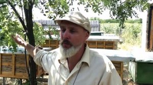 РОЕНИЯ НЕТ. ОСНОВНЫЕ МЕТОДЫ БОРЬБЫ С РОЕНИЕМ.