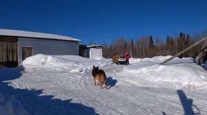 Домик в тайге, передвижной домик, SNOW MOBILE, едем в лес.