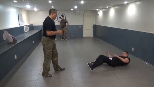 Прикладной рукопашный бой. Фазы удара. Постановка удара. Принципы защиты.