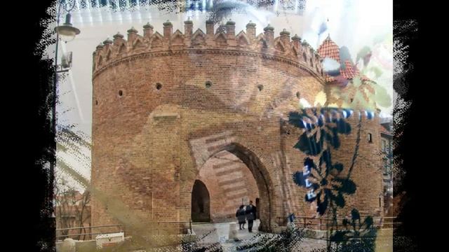 Polacca - mazurka - video live - FRANCO CAVALLARI смотреть онлайн