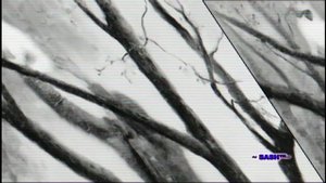 Вадим Казаченко Моя первая любовь видеомонтаж ~ SASH™~ HD Studio Starstalker 2013