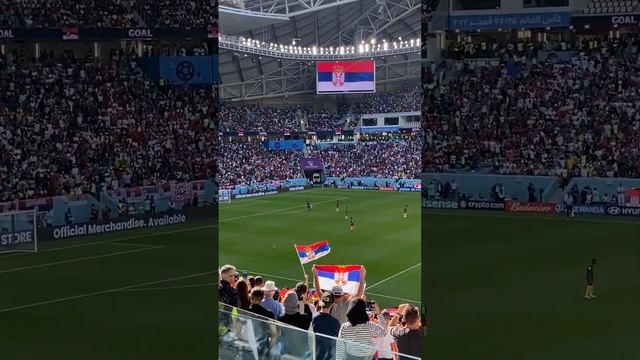 Serbia supporters react after 2nd goal vs Cameroon and World Cup match at Al Janoub