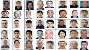 Найти данные кто в розыске! Внимание розыск преступников. Особенности данных, проверка