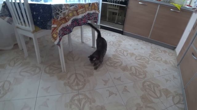 תהנה מהחיים!!! НАСЛАЖДАЕМСЯ ЖИЗНЬЮ!!! смотреть онлайн