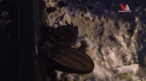 Поезд сбил двух подростков