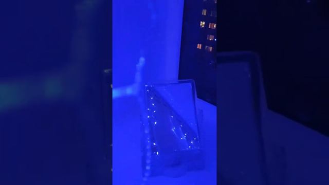 Гирлянда "Занавес" синяя смотреть онлайн