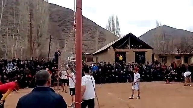 Волейбол