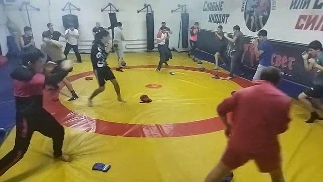 #Челнок Тренировка СК Пересвет (старшая группа) 30.10.22г смотреть онлайн