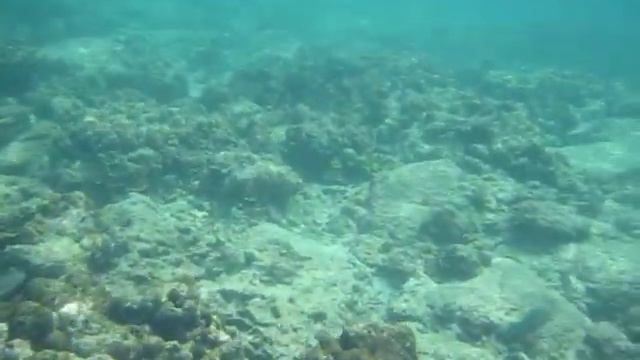 Saigon Sam Part 42: Snorkeling at Kon Kare Bay, Koh Racha Yai, Phuket, Thailand Part 2/6 смотреть онлайн